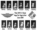 Copyright 2004 - U.S. Hogs For Dogs, Inc